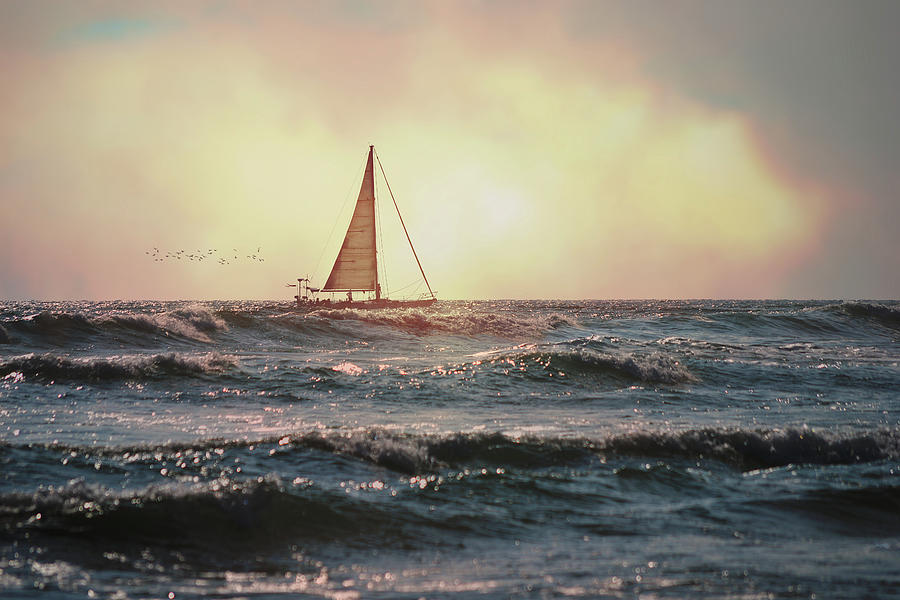 Sailing Home Photograph