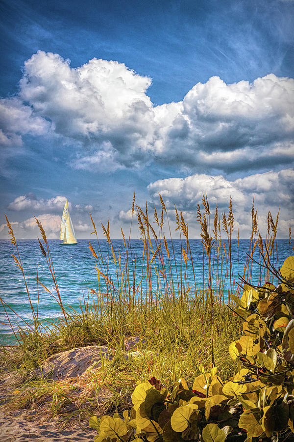 Boat Photograph - Sailing in Autumn Blues and Whites by Debra and Dave Vanderlaan
