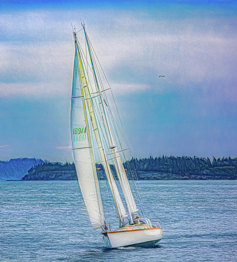 Sailing in Port Angeles Photograph by Kevin Lane