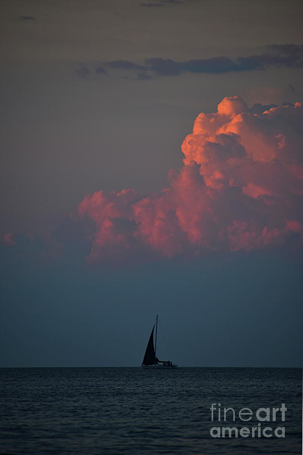 Sailing In The Clouds Photograph by Bailey Maier