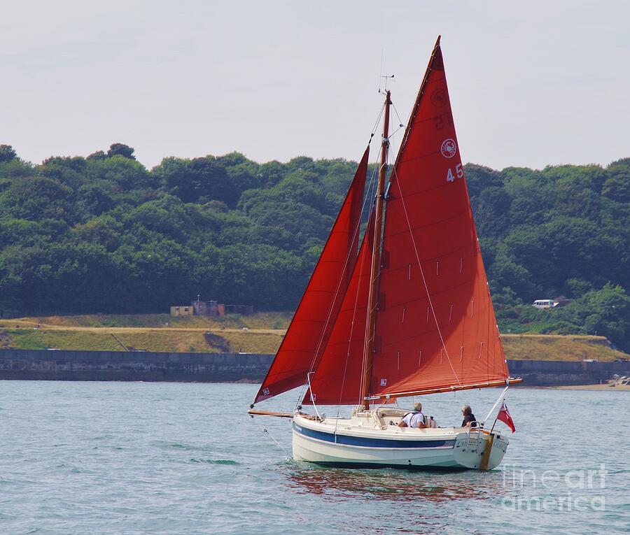 Sailing Photograph - Sailing In The Fal Estuary, Cornwall UK by Lesley Evered