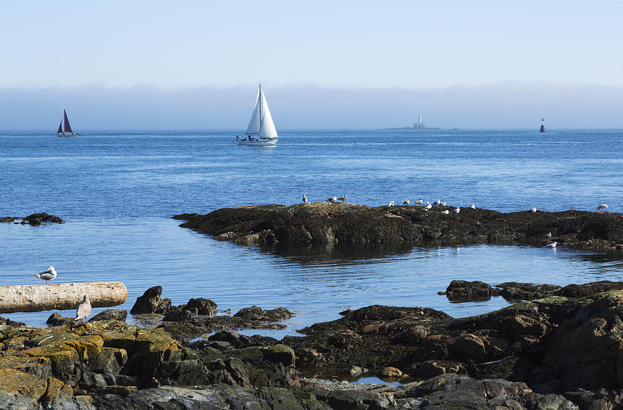 Sailing in the Strait of Juan de Fuca Photograph by Louise Heusinkveld