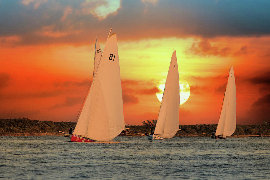 Sailing in Threes Photograph by Montez Kerr