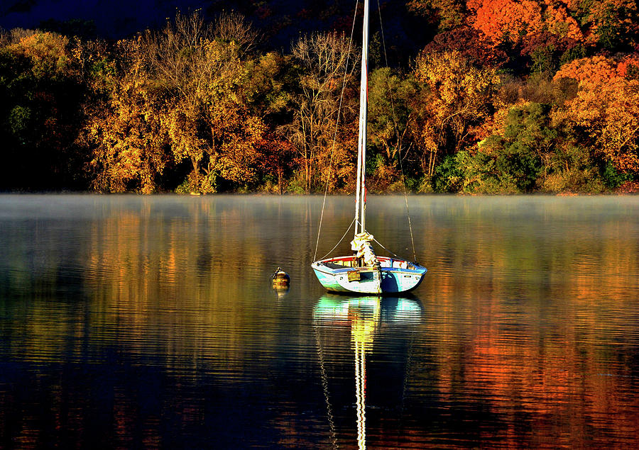 Sailing into Fall Photograph by Susie Loechler