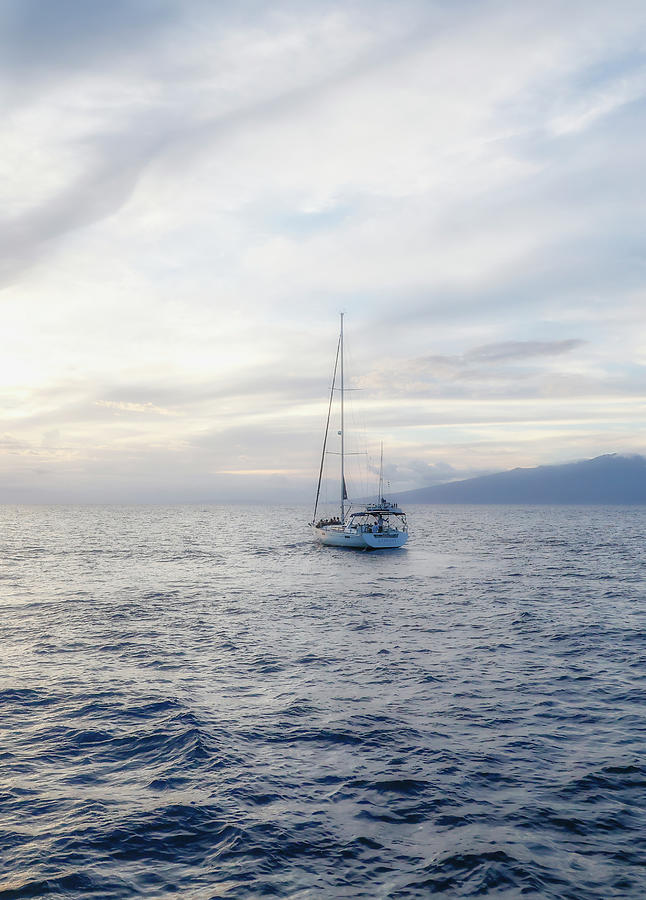 Sailing Into The Horizon Photograph by Athena Mckinzie - Fine Art America