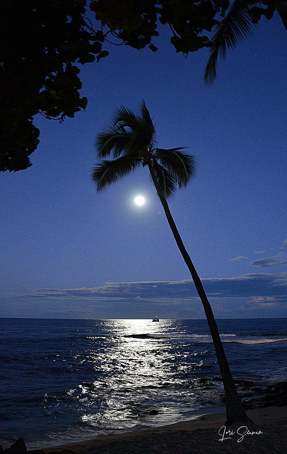 Sailing into the Moonlight Photograph by Lori Seaman