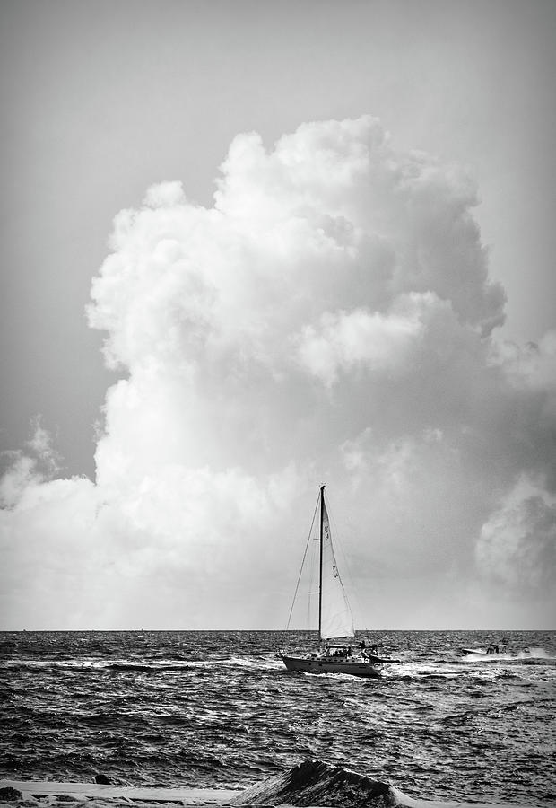 Sailing into the Sea Black and White Photograph by Debra and Dave Vanderlaan