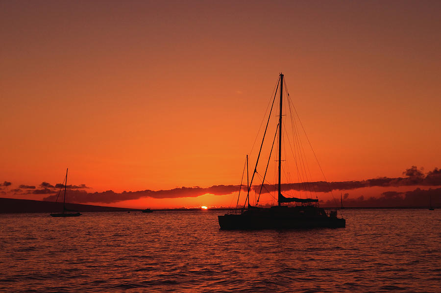 Sailing into the Sunset Photograph by Alina Oswald