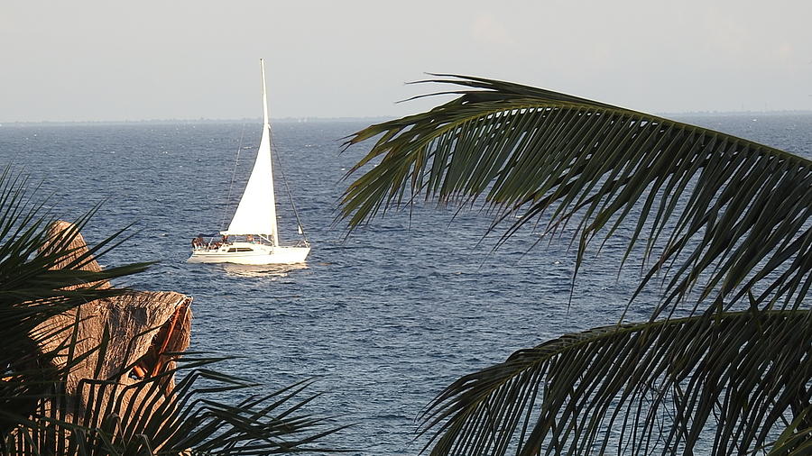 Sailing Mexico Photograph By Douglas Sigler Fine Art America