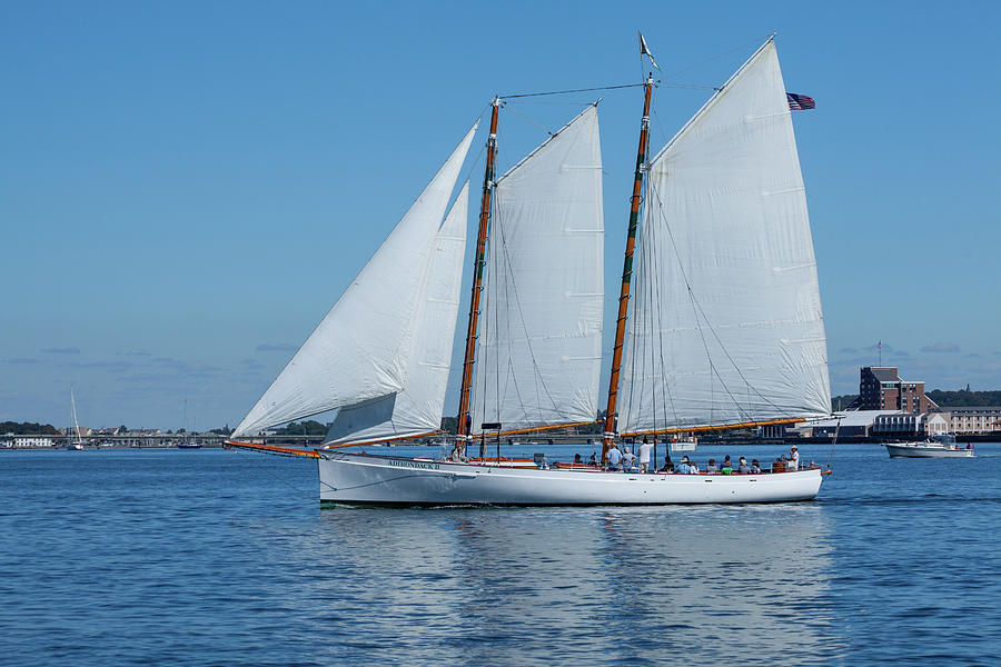 Sailing Newport Photograph by Karol Livote