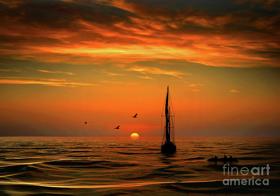 Sailing off into the Sunset with Dolphins and Birds Photograph by Stephanie Laird
