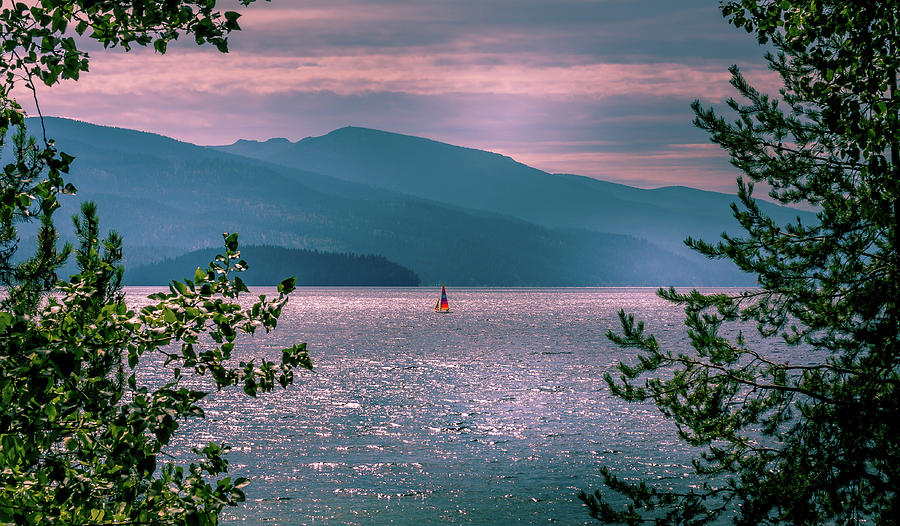Tree Photograph - Sailing on Priest Lake by David Patterson