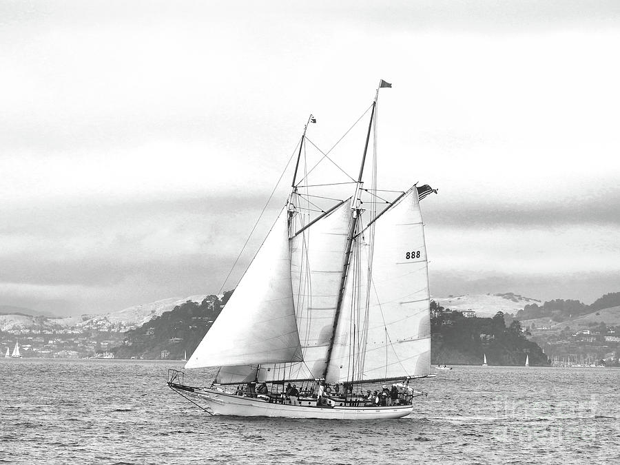 Sailing on San Francisco Bay Photograph by Scott Cameron