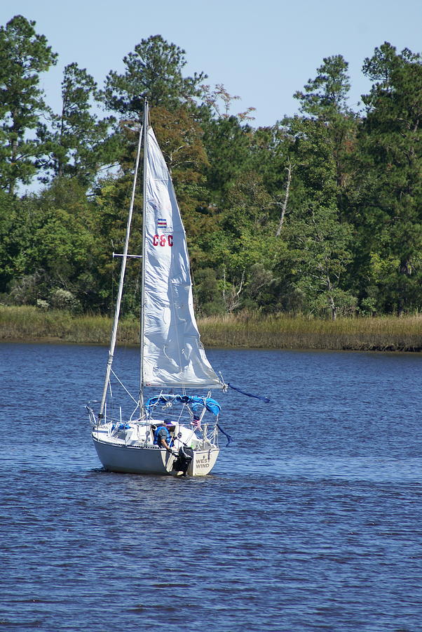 Sailing on the Brunswick River Photograph by Heather E Harman