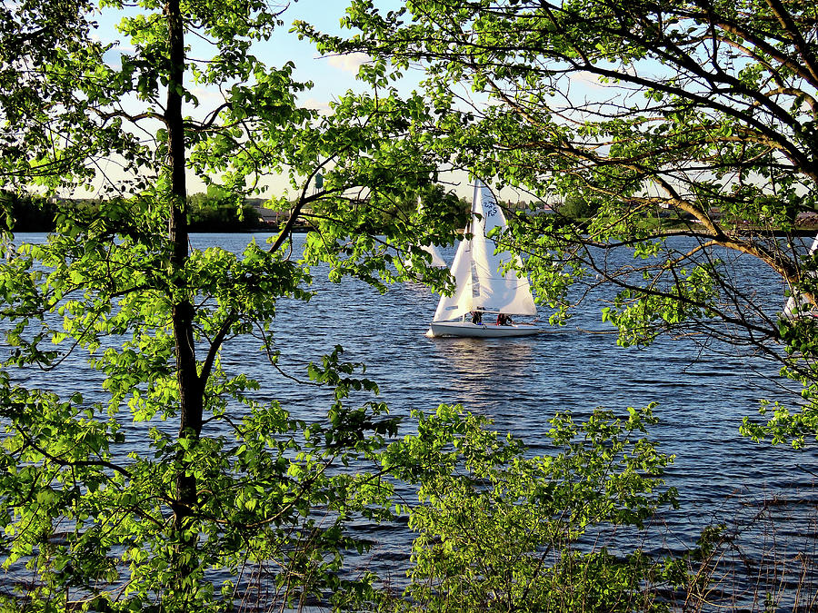 Sailing on the Delaware Photograph by Linda Stern