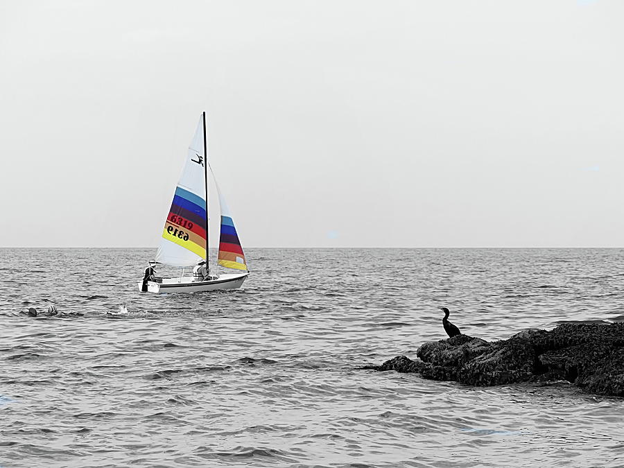 Sailing on the Ocean Photograph by Lyuba Filatova