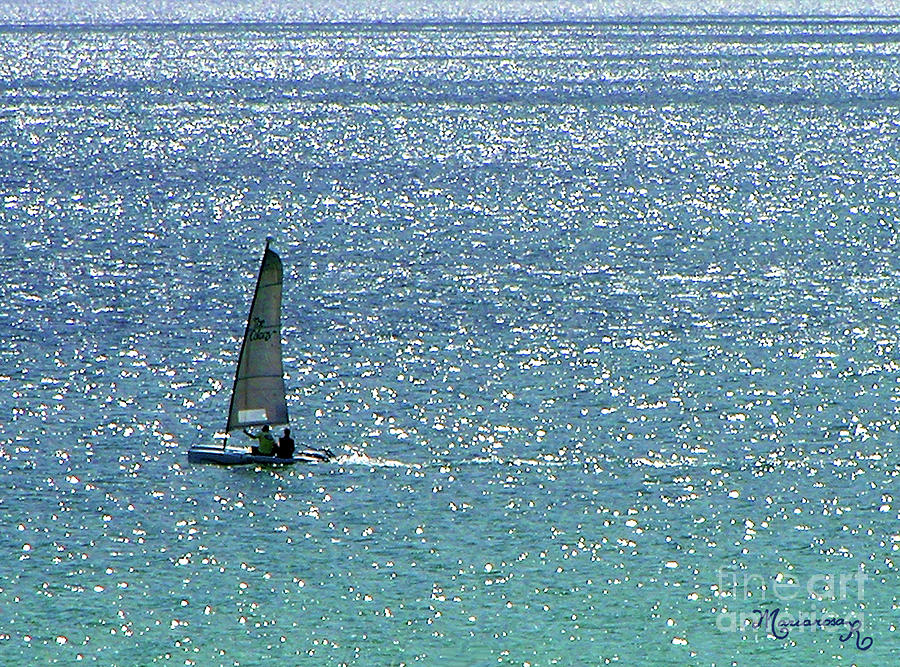 Sailing on the Silvery Sea Photograph by Mariarosa Rockefeller