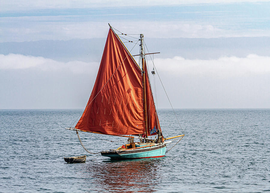 Sailing  Photograph by Shirley Mitchell