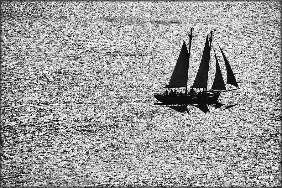 Sailing Silhouette Photograph by Erika Fawcett