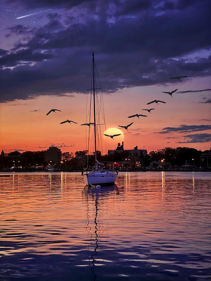 Sailing Sunset Photograph