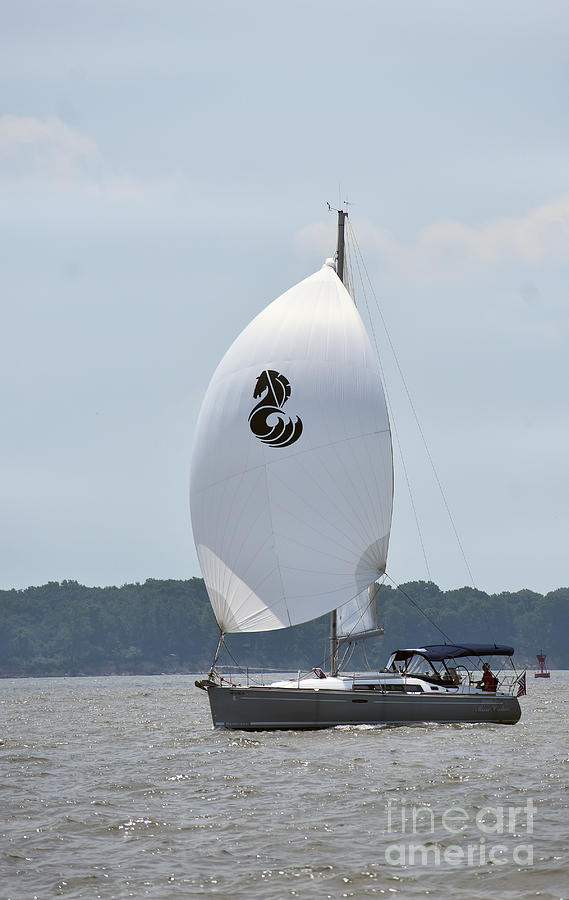 Sailing The Chesapeake Photograph