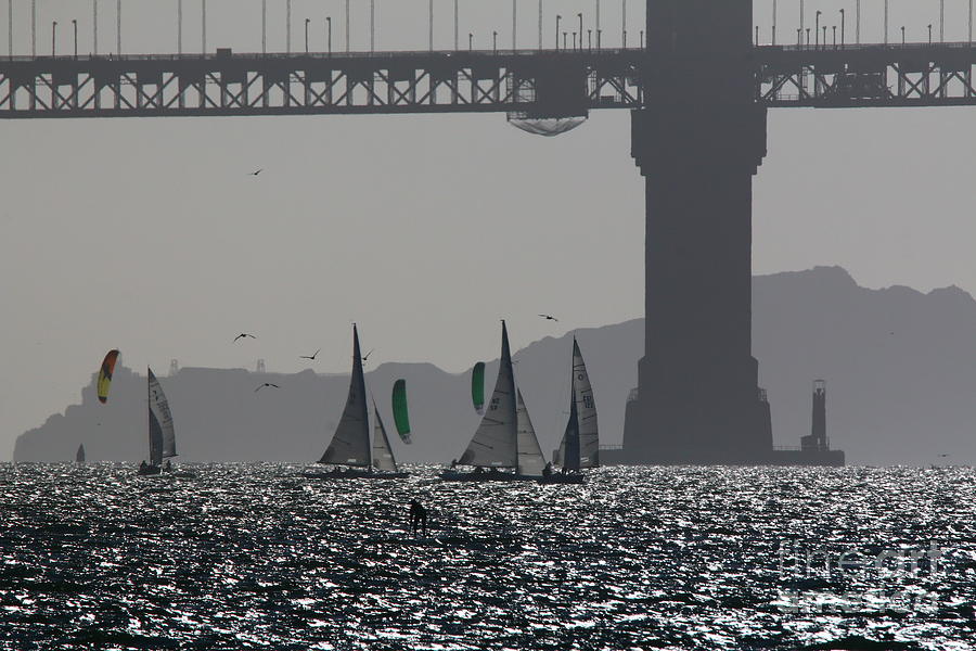 Sailing the Golden Gate Photograph by Tony Lee