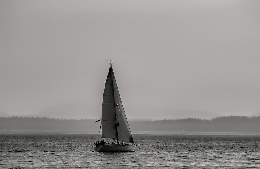 Sailing the Sound  xx Photograph by Cathy Anderson