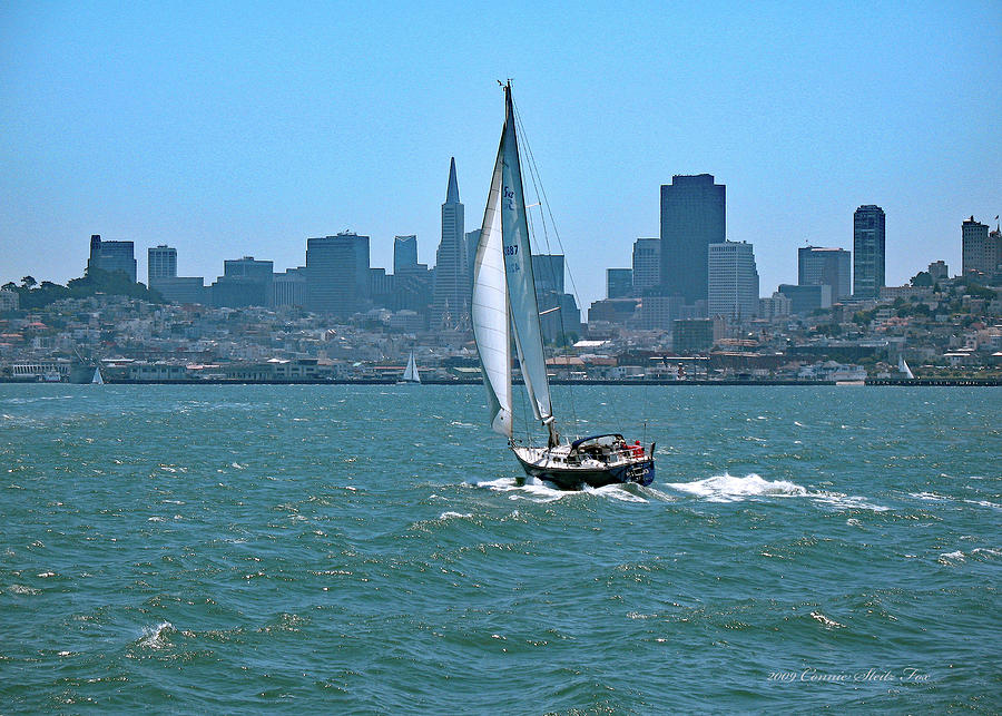 San Francisco Photograph - Sailor in Red. San Francisco by Connie Fox