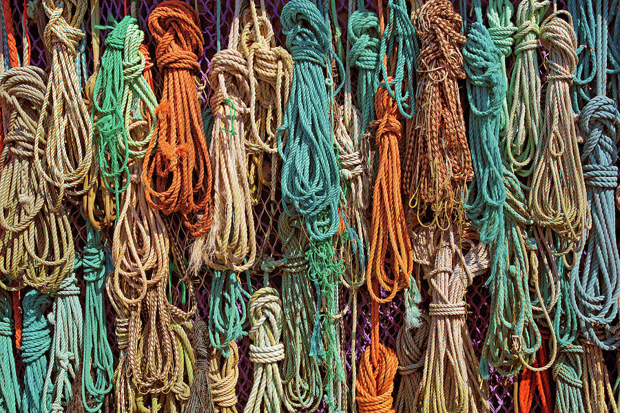 Sailor Rope Photograph by Maria Meester
