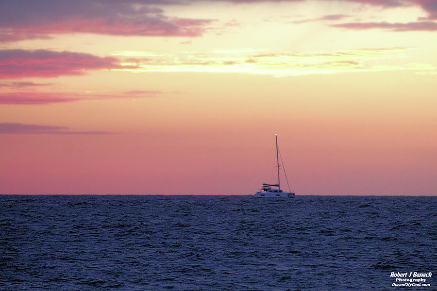 Sails Down At Dawn Photograph by Robert Banach