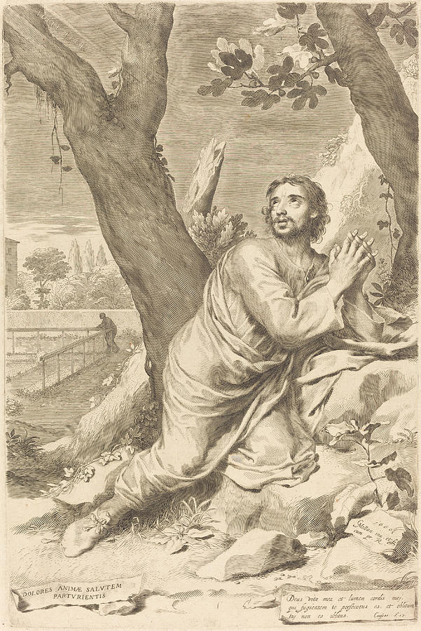 Saint Augustine Drawing by Claude Mellan