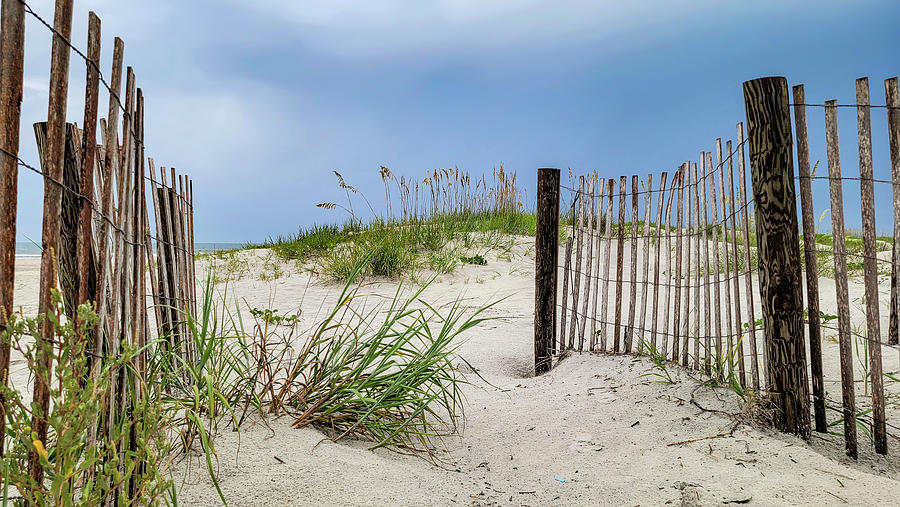 Saint Augustine Dunes Photograph by Christy Mandeville - Pixels