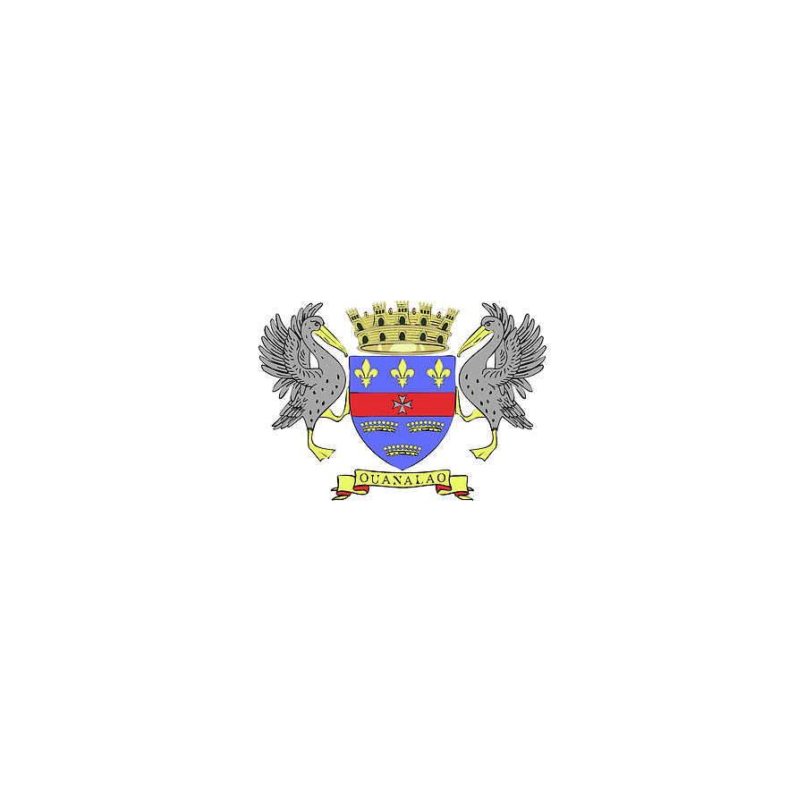 Saint Barthelemy flag emblem Mixed Media by Alexander Nedviga - Pixels
