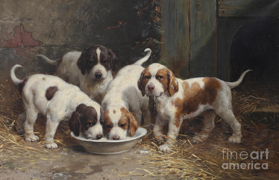 Saint Bernard puppies drinking milk Painting by Otto Eerelman