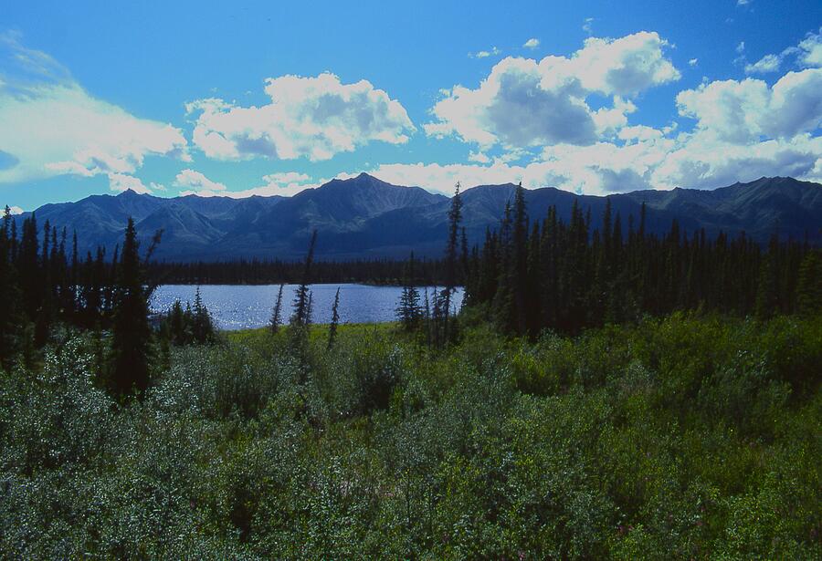 Saint Elias Mountains and Kluane Lake Yukon Photograph by Lawrence Christopher