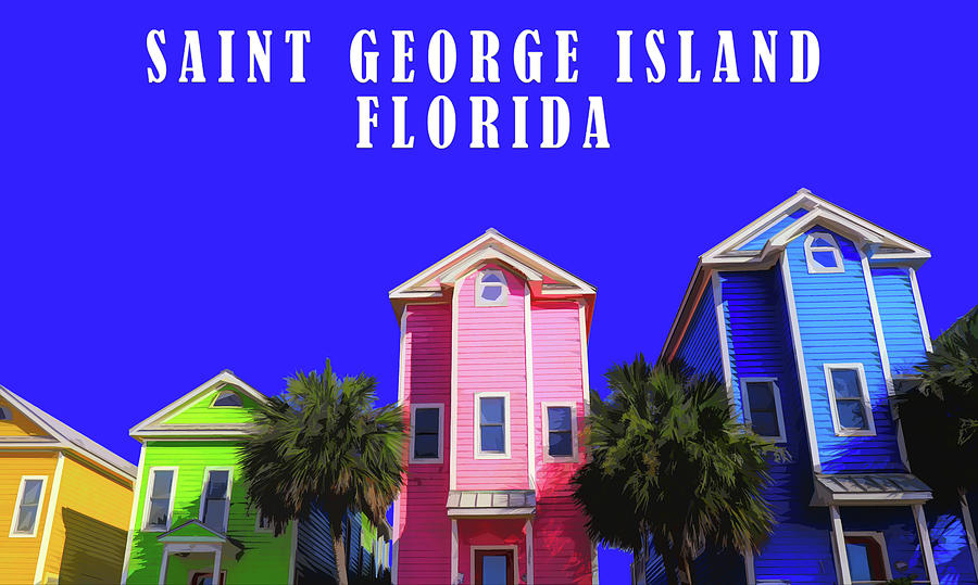 Saint George Island Florida Poster Digital Art by Dan Sproul
