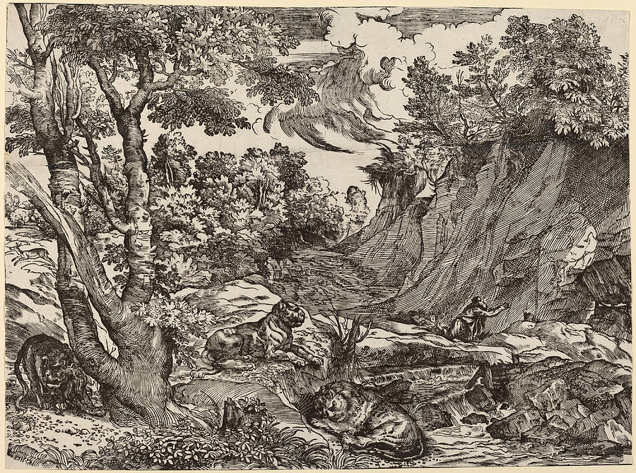 Saint Jerome in the Wilderness Drawing by Niccolo Boldrini