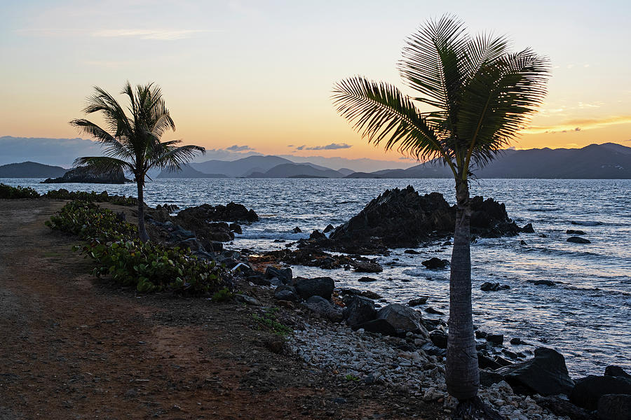 Saint John Sunrise from Sapphire Beach in Saint Thomas Palm Trees Photograph by Toby McGuire