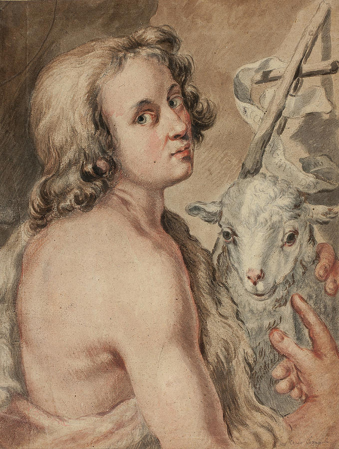 Saint John the Baptist with Lamb Drawing by Carlo Cignani