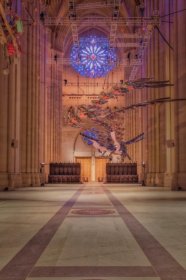 Saint John the Divine Phoenix Rise Photograph by Susan Candelario
