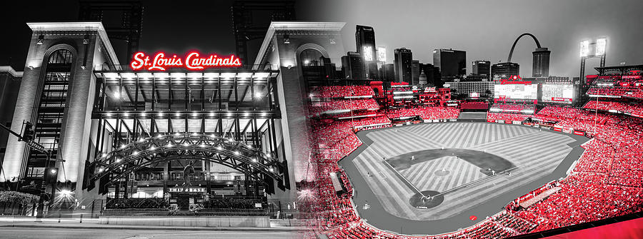 St. Louis Cardinals Panorama - MLB Fan Cave Poster