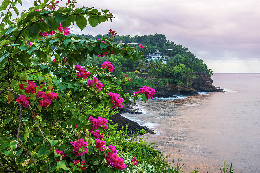 Saint Lucia Coastal Scenery Photograph by Stefan Mazzola