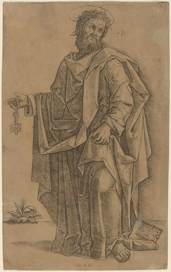 Saint Peter Drawing by Giovanni Antonio da Brescia Fine Art America