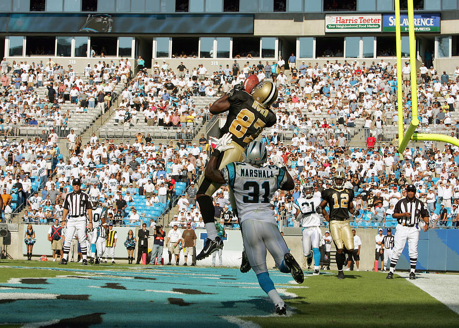 Saints v Panthers Photograph by Streeter Lecka