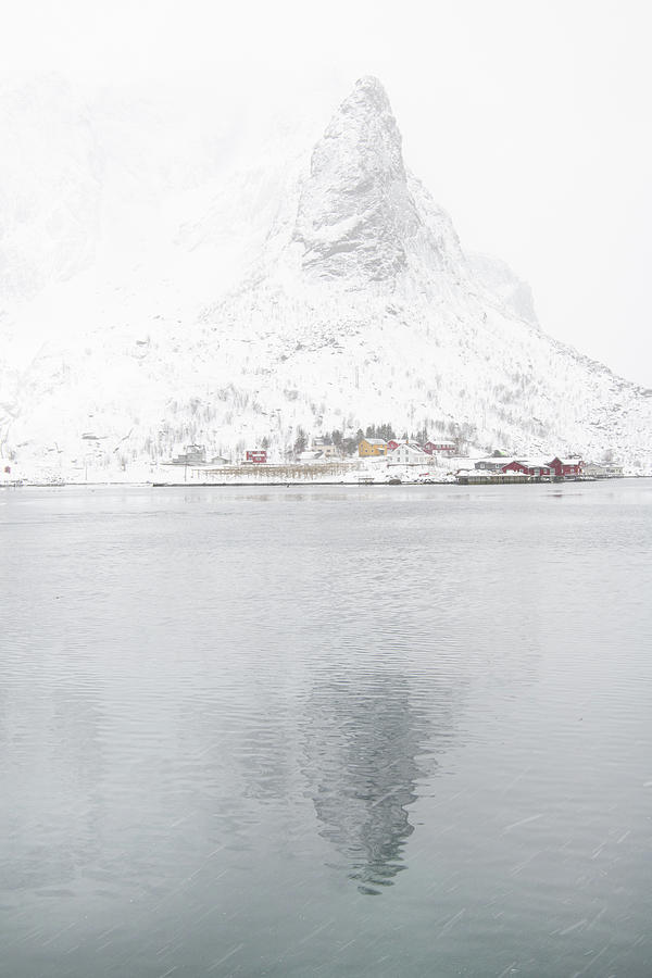 Sakrisoya Lofoten Islands Norway Photograph by Tibor Vari