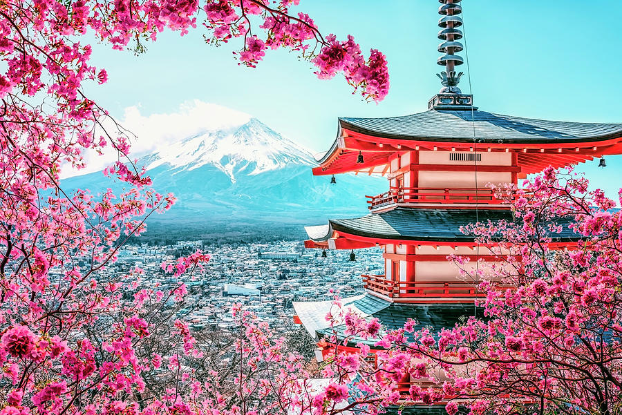 Nature Photograph - Sakura In Chureito by Manjik Pictures