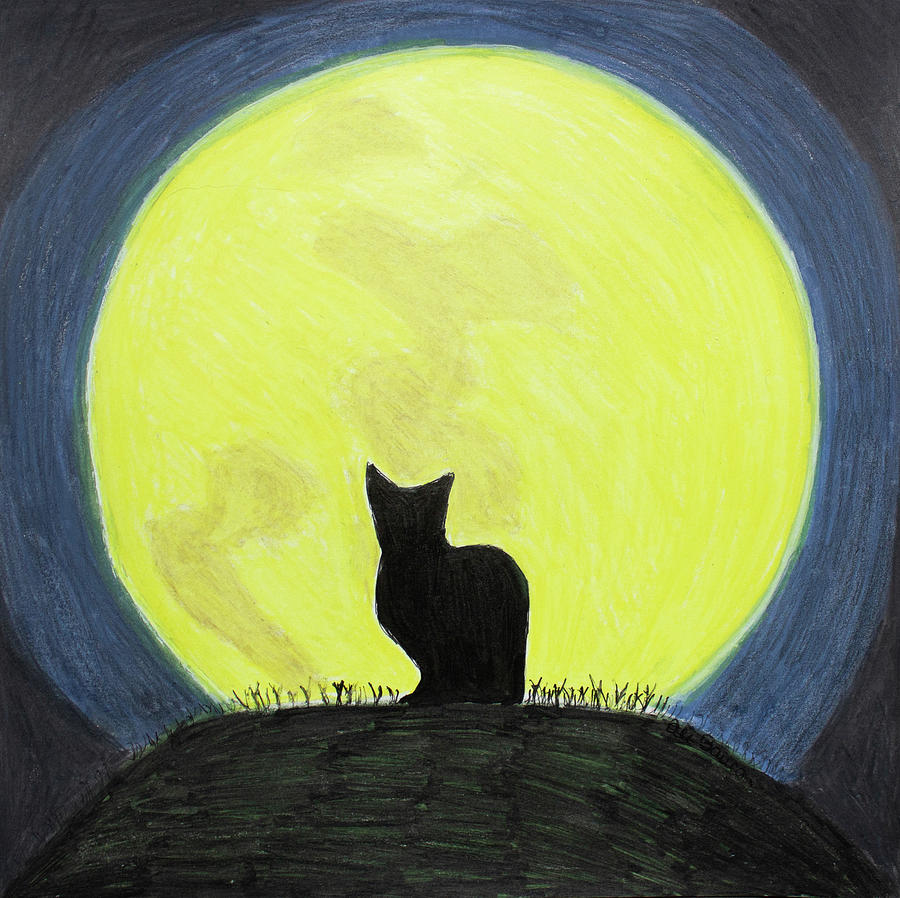 Salem Silhouette of a Black Cat in front of a Full Moon Drawing by Ali Baucom