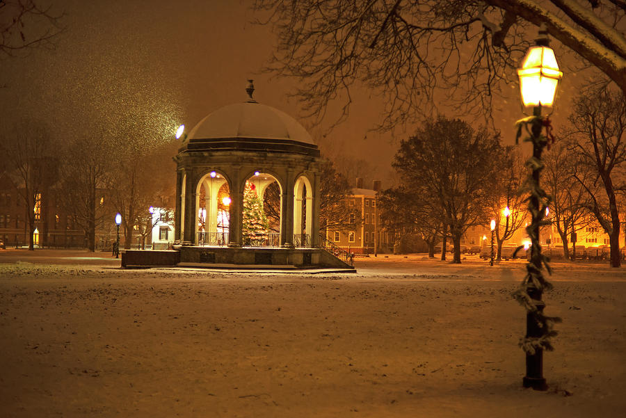 Salem Common Bandstand Christmas Tree in Snow Lantern Photograph by Toby McGuire