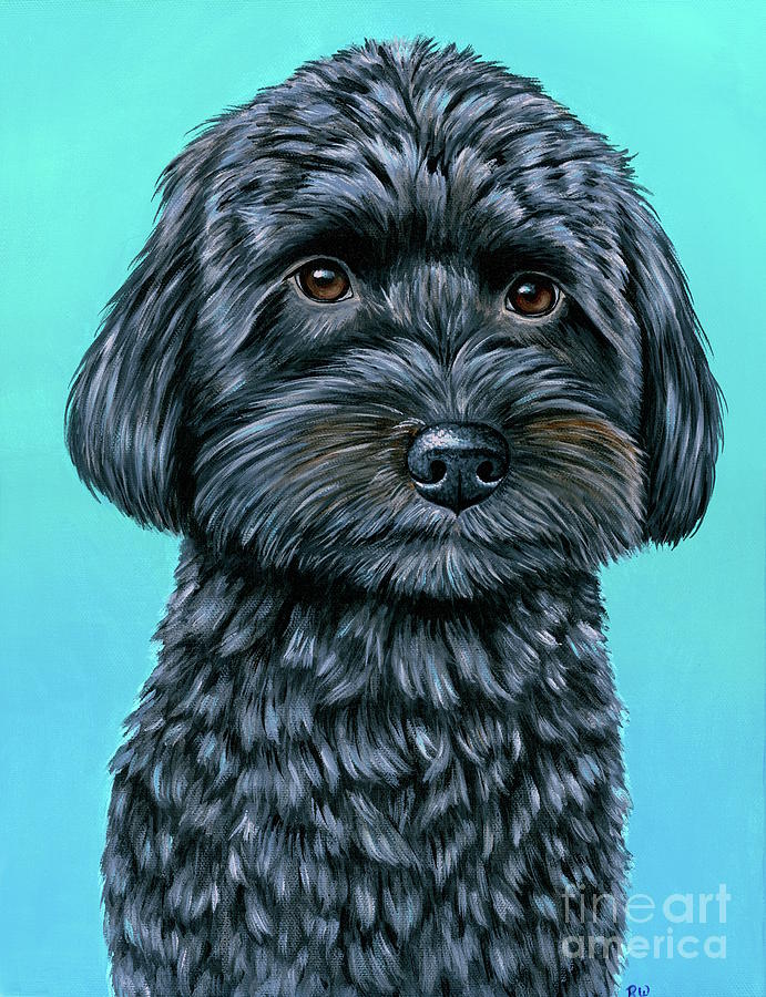 Salem the Schnoodle on Teal Painting by Rebecca Wang