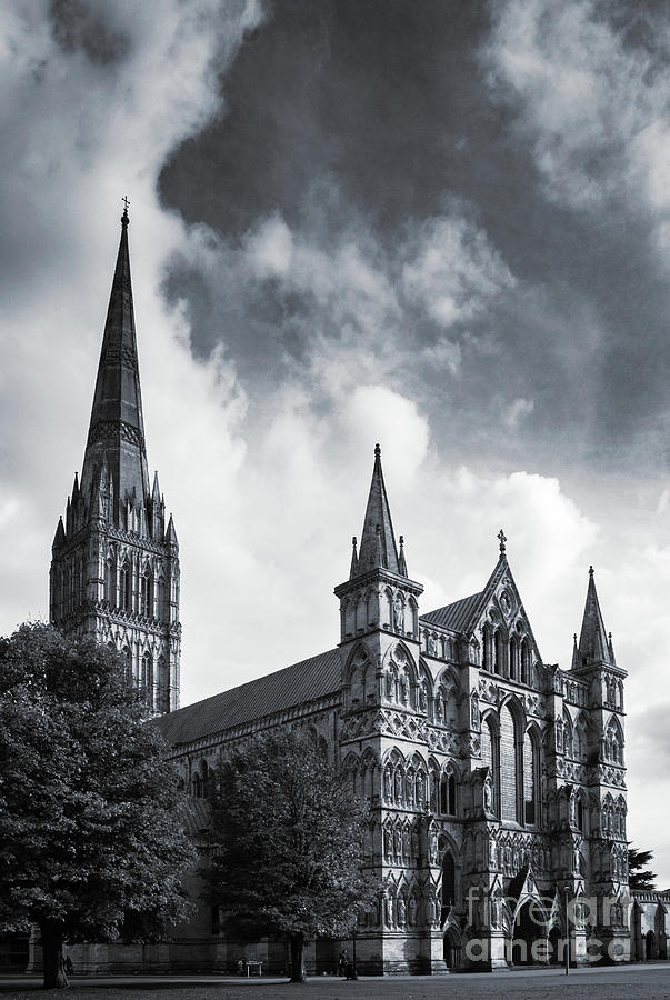 Salisbury Cathedral and the close in autumn Photograph by Peter Noyce